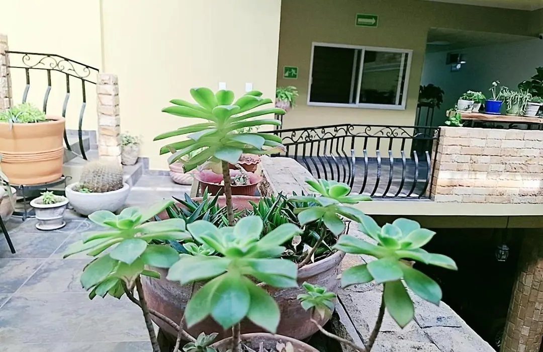 Hotel Boutique Rosa De Lima-1